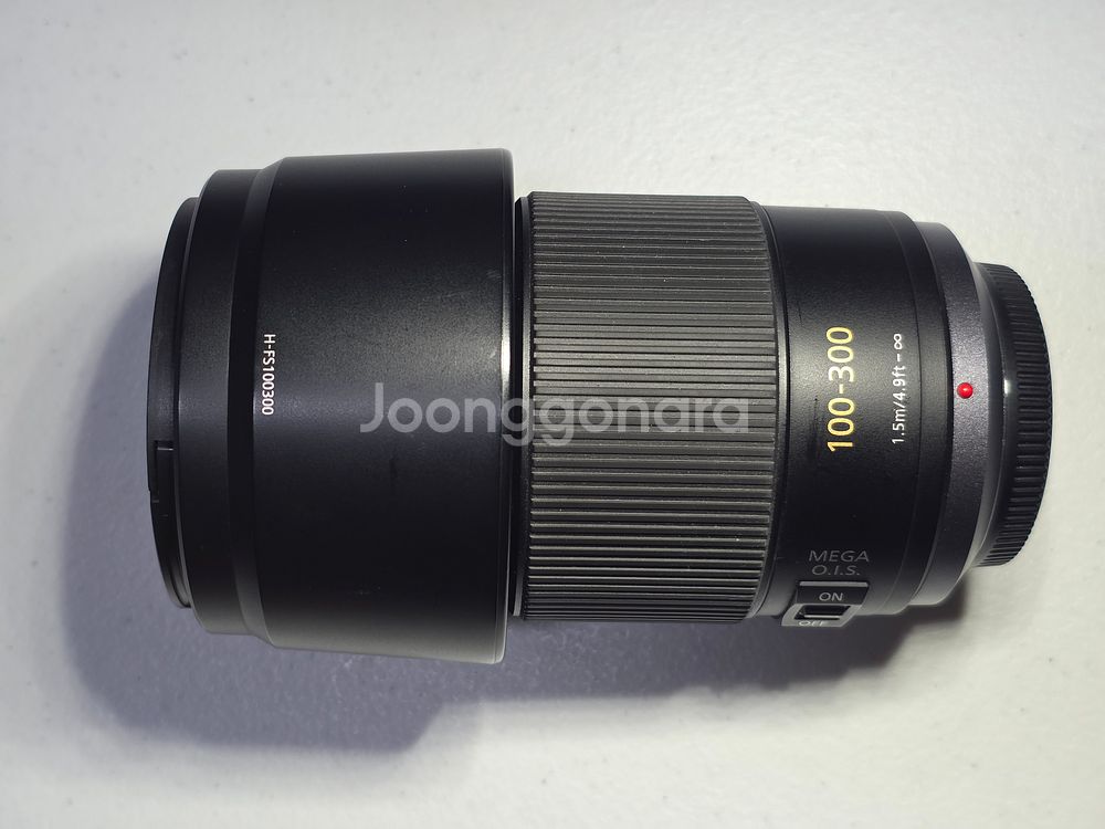 파나소닉 루믹스 100-300mm 망원렌즈--1