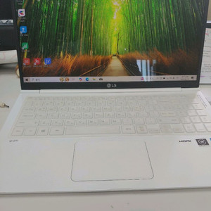 고사양 LG그램 노트북(15.6인치 20램 1T)