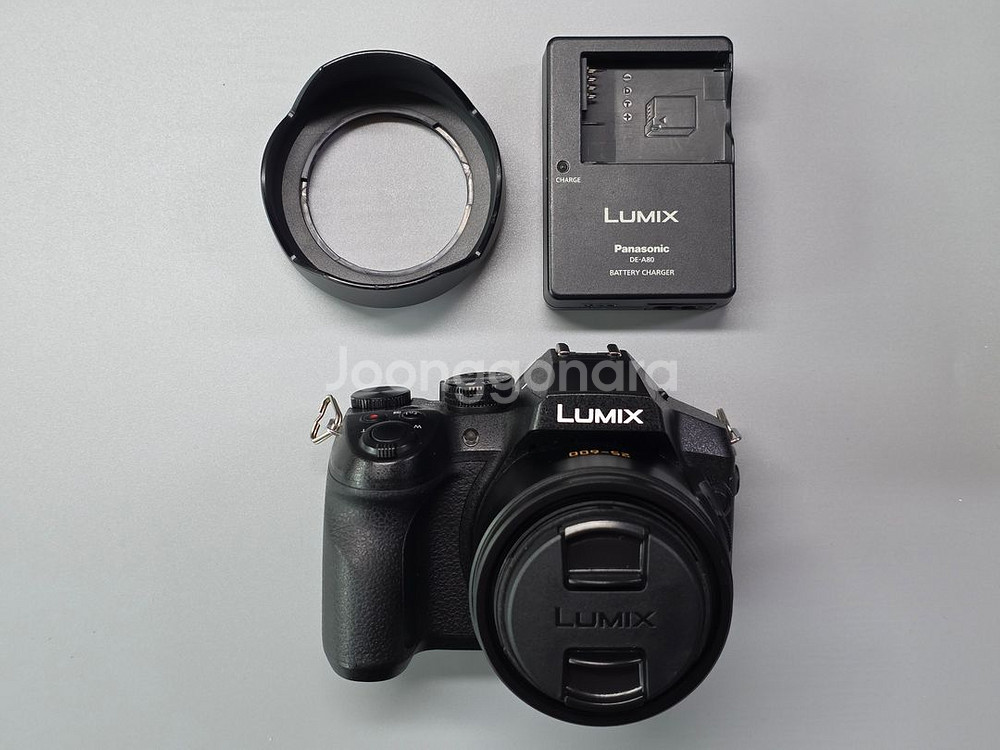 파나소닉 루믹스 FZ300 카메라--0