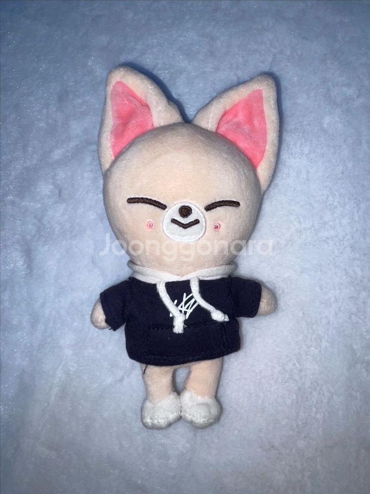 스트레이키즈 스키즈 스키주 아이엔 폭시니 양도--0