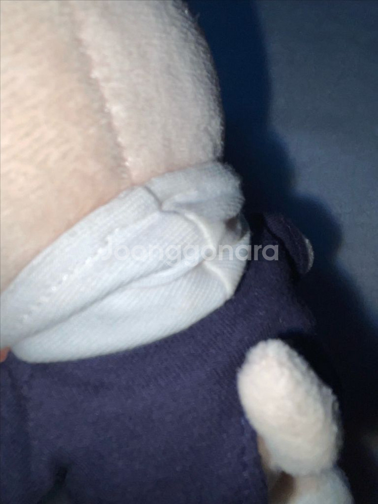 스트레이키즈 스키즈 스키주 아이엔 폭시니 양도--1