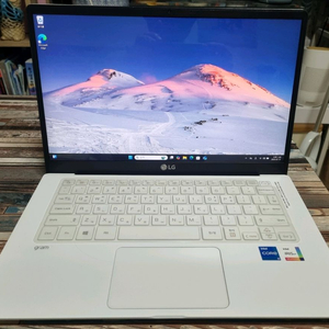 LG그램 14Z95N-GP5NL화이트