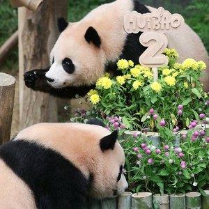 에버랜드 자유이용권 종일권 오후권