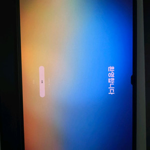 갤럭시탭 S10 울트라 512GB