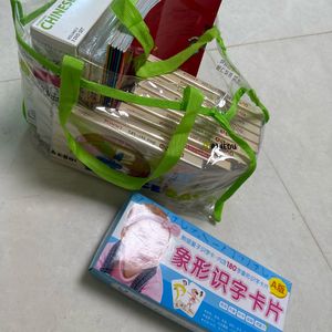 중국어 DVD 리틀 스마트