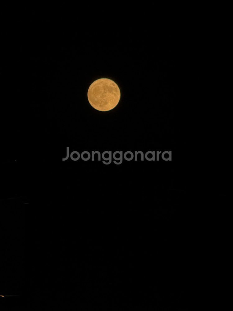 한국 일본 7월 11일 평가전--0