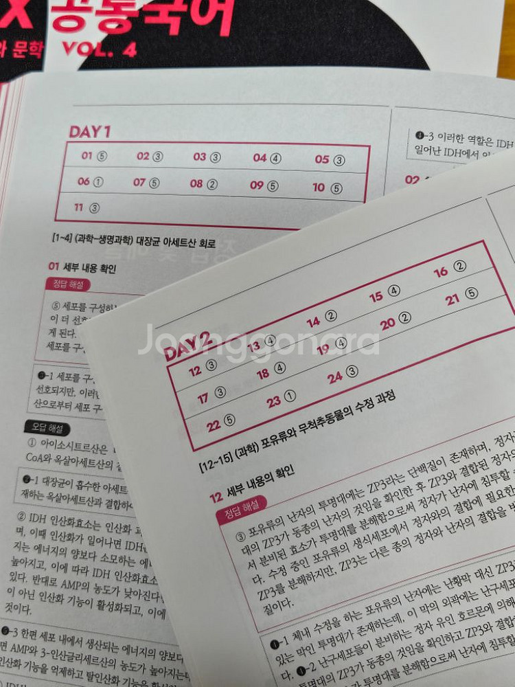 (미사용)2025 강대N제 <국어> 크럭스 독서와문학--9