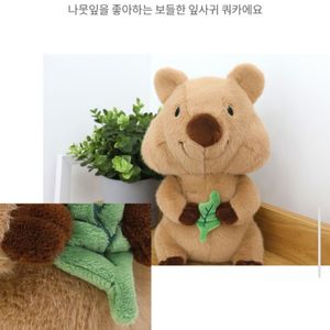 잎사귀 쿼카 보들버전 25cm 인형 (새상품)