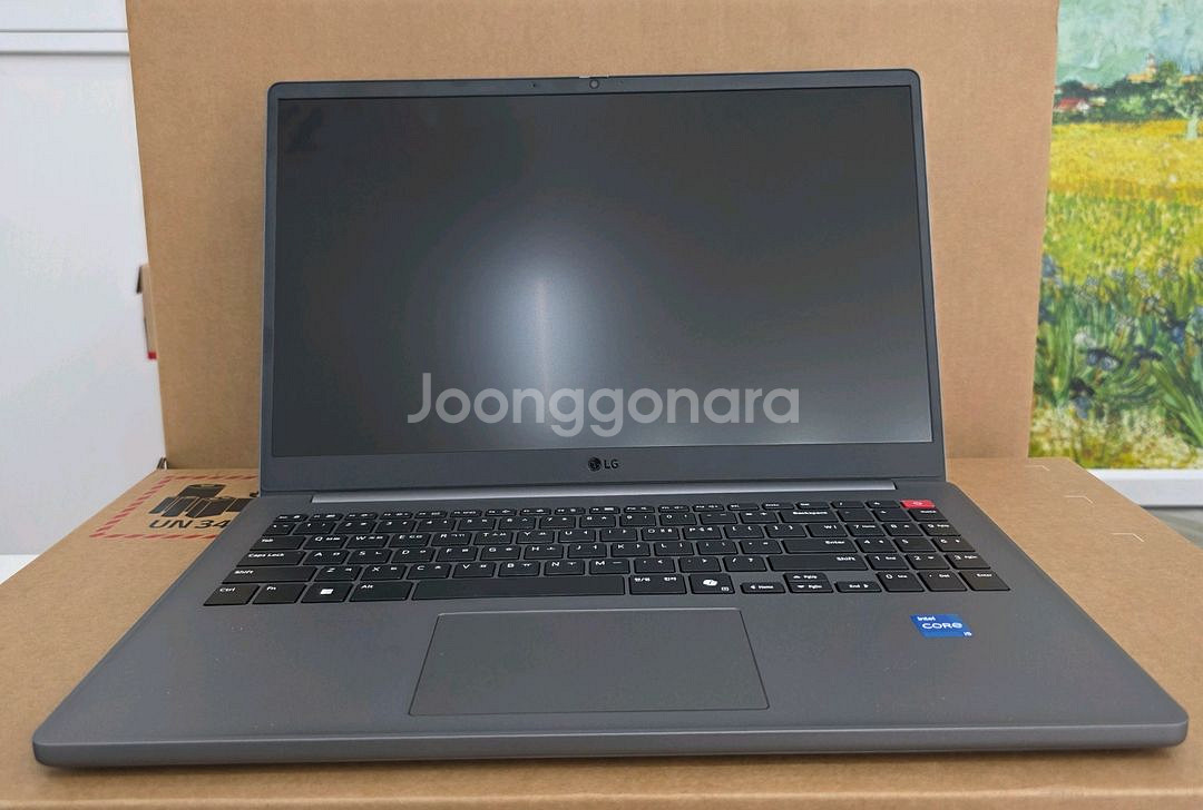 LG 울트라PC 15U50T-GR50K--1