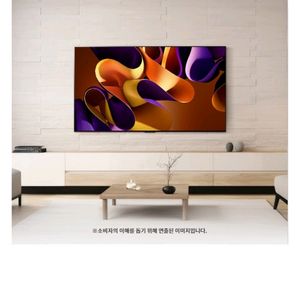 LG 65인치 OLED 최상위급 OLED65G4 !