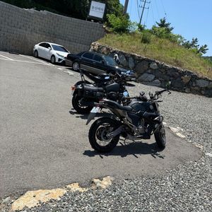 존테스 G1 125 최저가