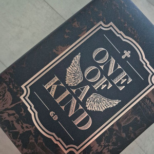 지드래본 원옵카 one of a kind 브론즈