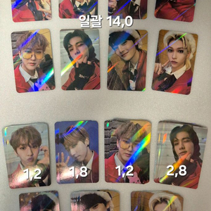 스키즈 스트레이키즈 포카 skiz Poca