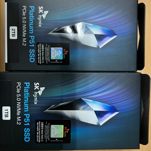 Platinum P51 SSDPCle 5.0