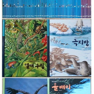 웅진 푸른아이(자연을 새로보는눈)
