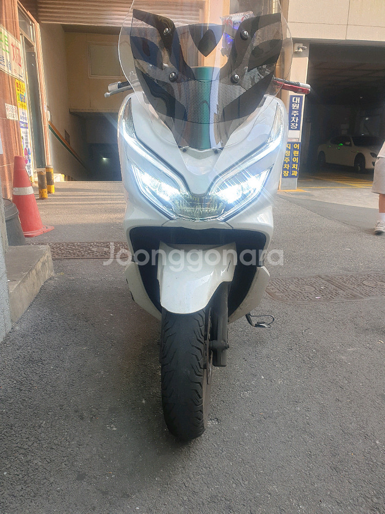pcx 19년식 더뉴--0