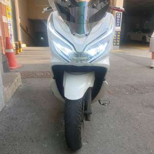 pcx 19년식 더뉴