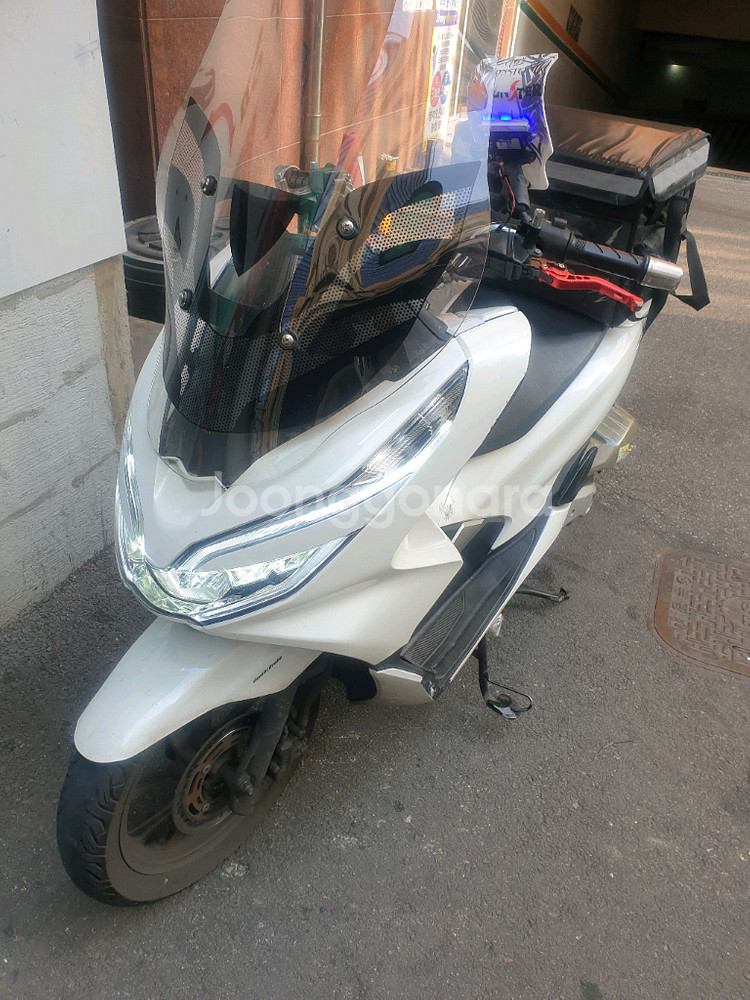pcx 19년식 더뉴--1