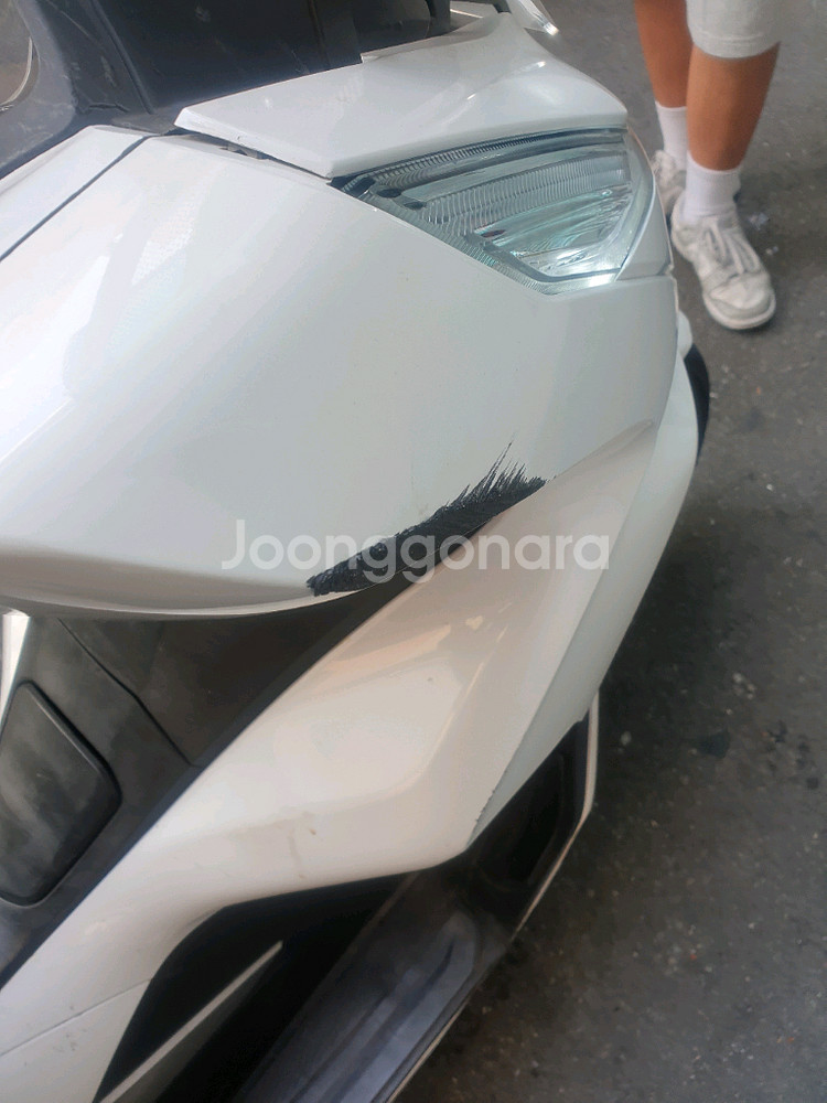 pcx 19년식 더뉴--6