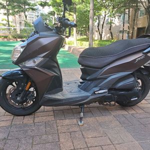 제트14 20년 던집니다 금액다운