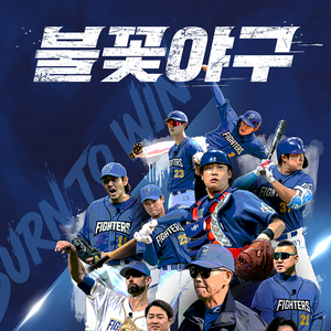 불꽃야구vs강릉고 7월13일 야구티켓 4연석
