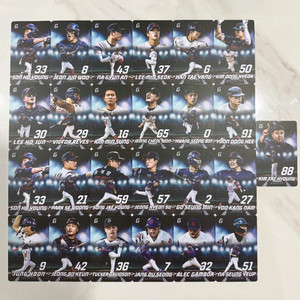 롯데.두산 포토카드 올스타전