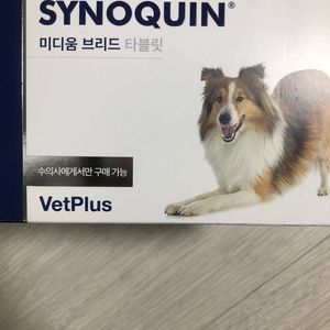 강아지 영양제 간식 캣 사료 벳플러스 사이노퀸 중형견