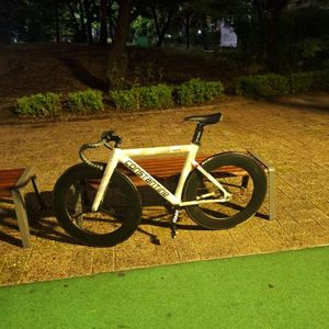 가격어그로아님콘스탄틴 어베인 2023 패턴화이트 판/대