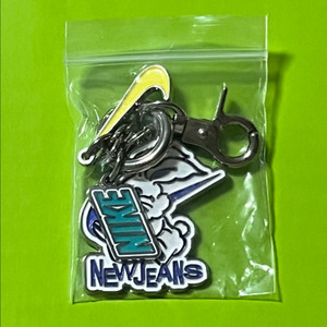 뉴진스 나이키 키링