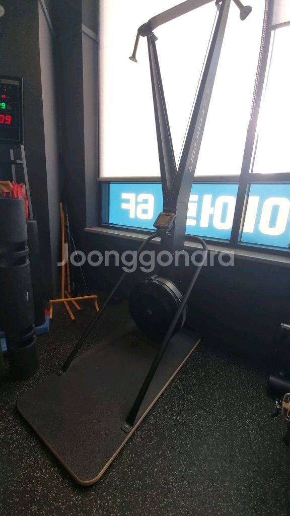 홈짐 컨셉2 스키에르그 판매--0