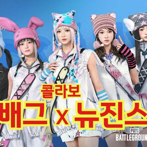 스배 뉴진스 하니or해린 스킨 구합니다