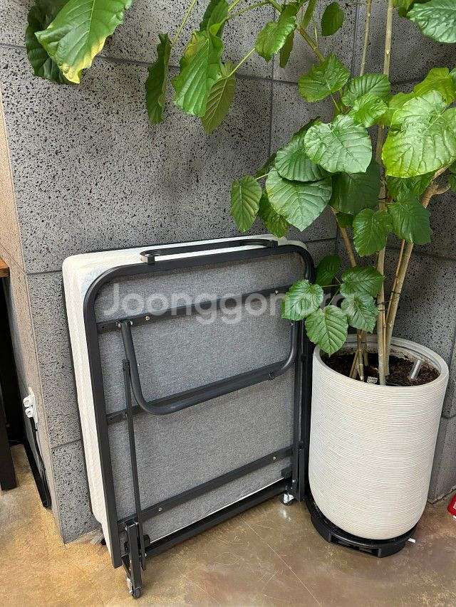 (새상품) 무명유실 접이식침대 푹신한 간이침대 판매--3