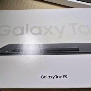 갤럭시탭s9 256기가