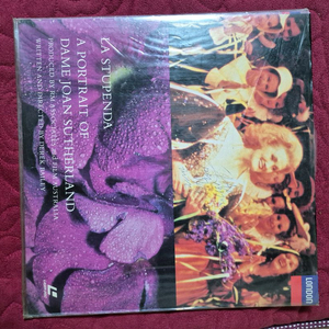 보관잘된 레이져디스크,LP레코드판 장당 가격 입니다.