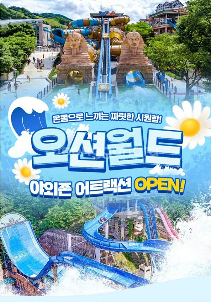 홍천 오션월드 이용권_구명조끼 포함--0