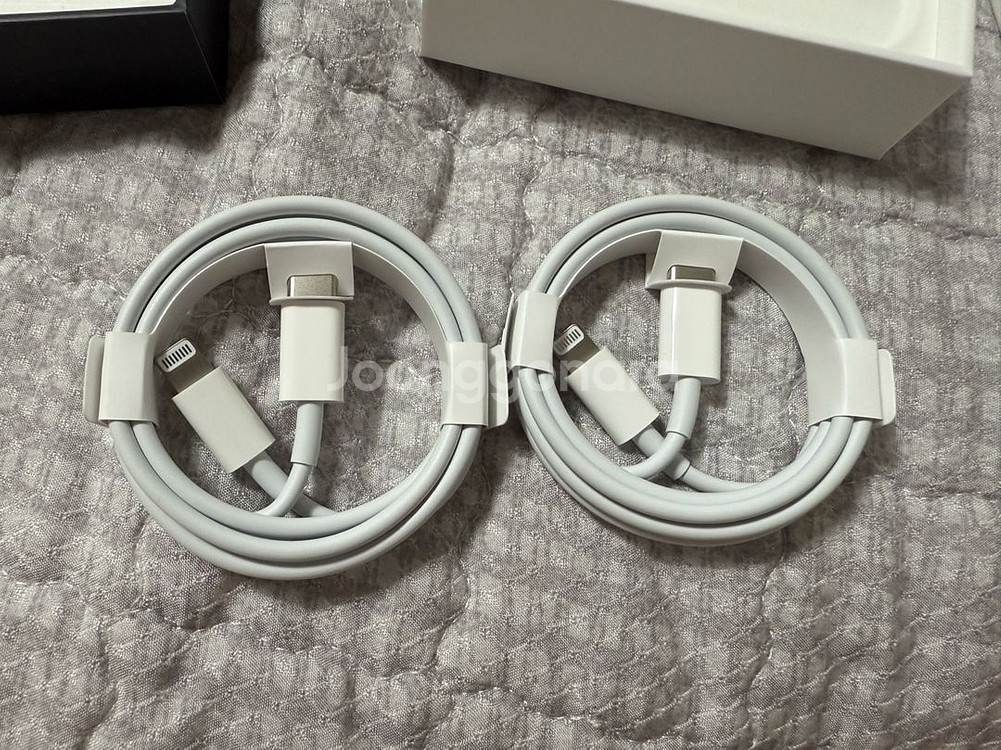 Apple 정품 Lightning-C타입 충전 케이블--0