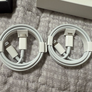 Apple 정품 Lightning-C타입 충전 케이블