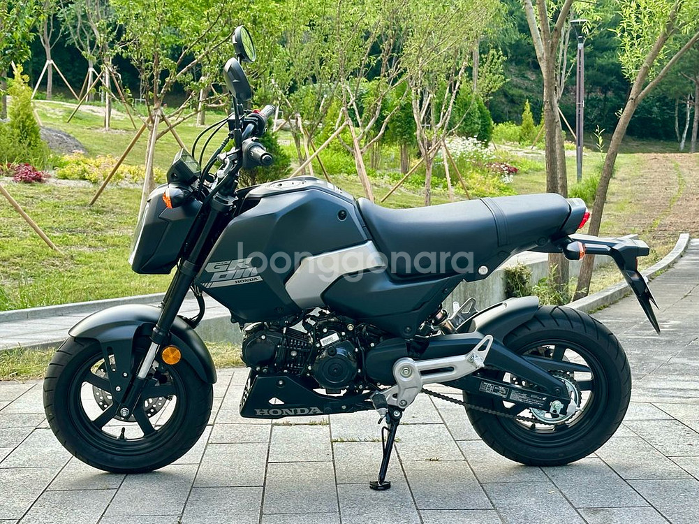 리얼신차급 실적산480km msx125그롬 판매--0