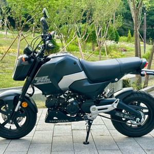 리얼신차급 실적산480km msx125그롬 판매