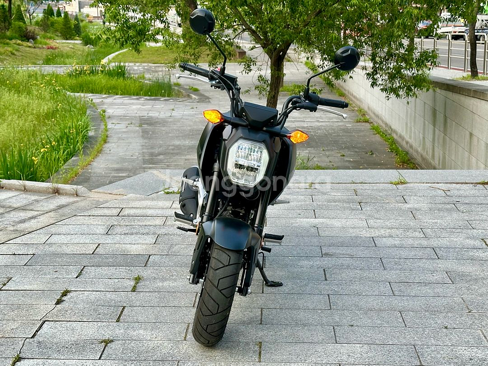 리얼신차급 실적산480km msx125그롬 판매--1