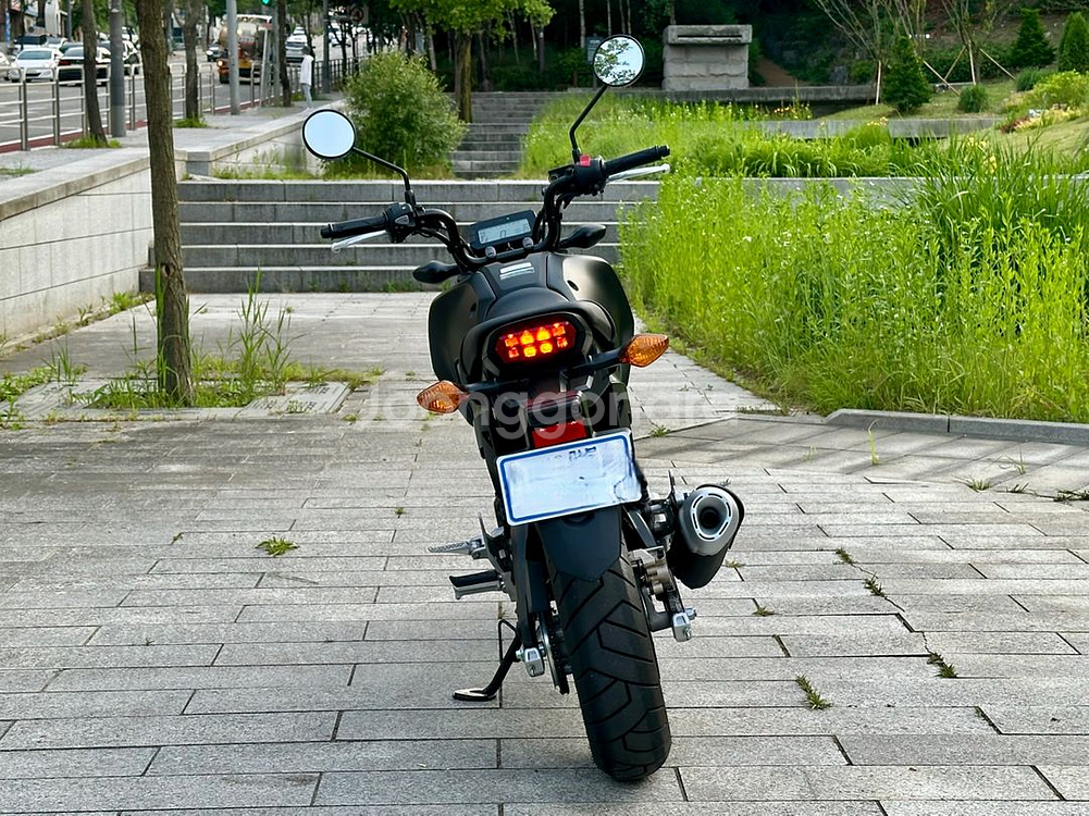 리얼신차급 실적산480km msx125그롬 판매--3