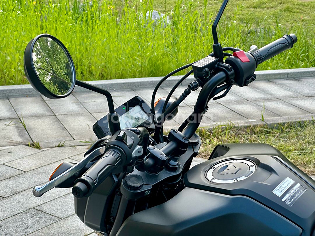 리얼신차급 실적산480km msx125그롬 판매--6