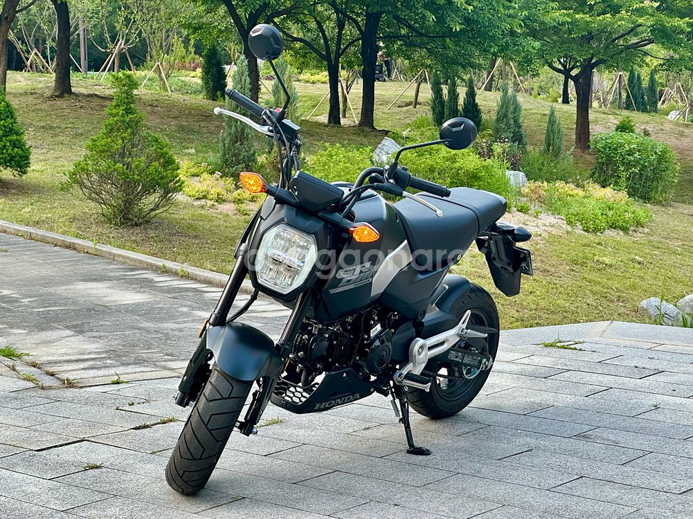 리얼신차급 실적산480km msx125그롬 판매--4