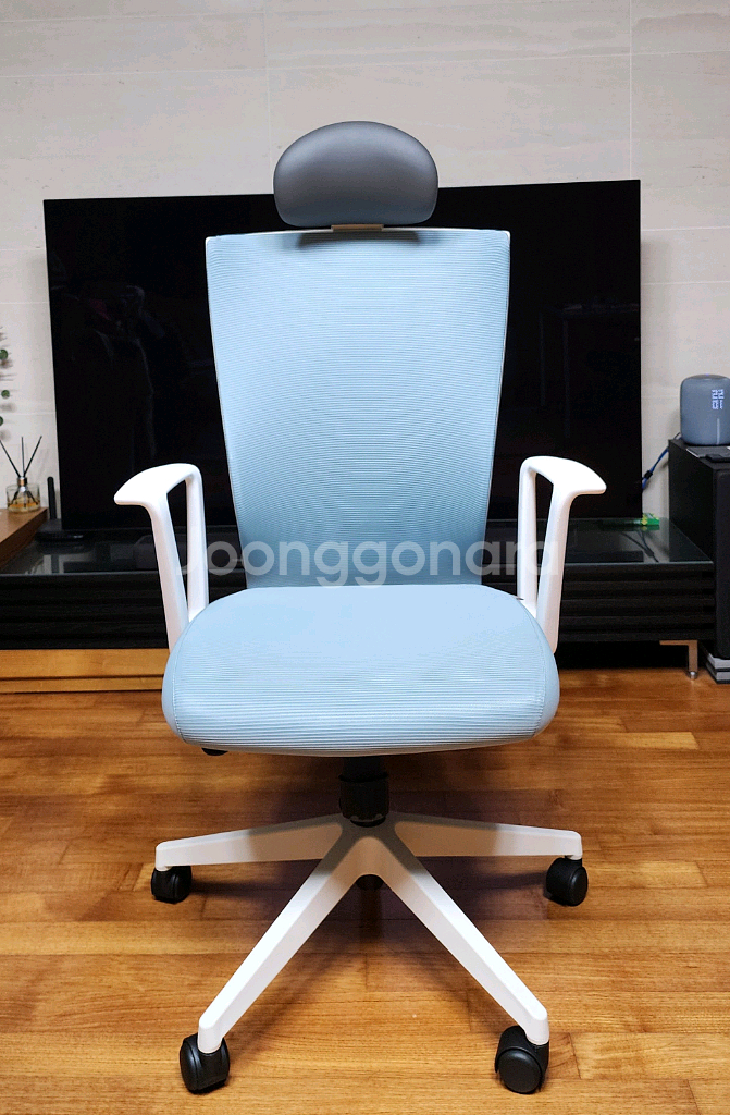 시디즈 T50 베이직 화이트 쉘 메쉬의자--1