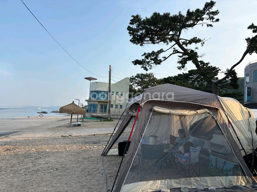 제드 오토듀얼팔레스4 차박텐트--1