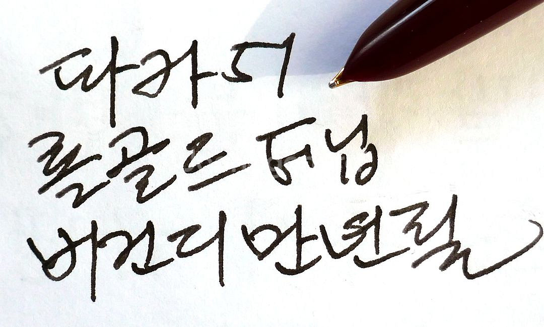 파카 51 만년필 연필 셋트 버건디 롤골드-F--9