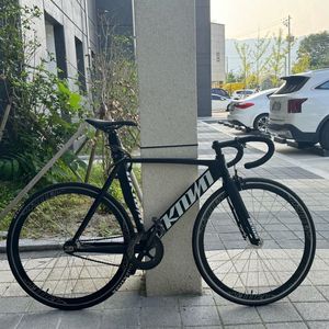 언노운 싱귤2 2024 픽시