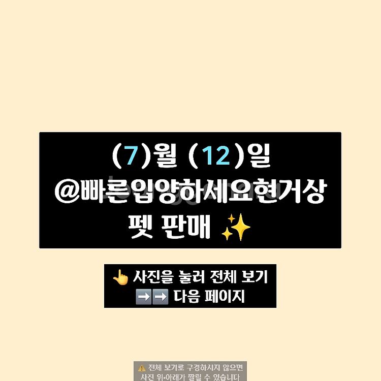 입양하세요 펫 많이 팔아요--2