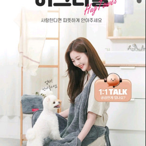 강아지 타올 강아지 목욕용품 수건타올