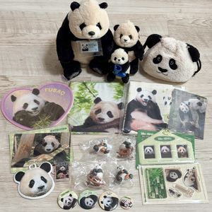 바오패밀리, 푸바오 굿즈 세트 판매합니다!
